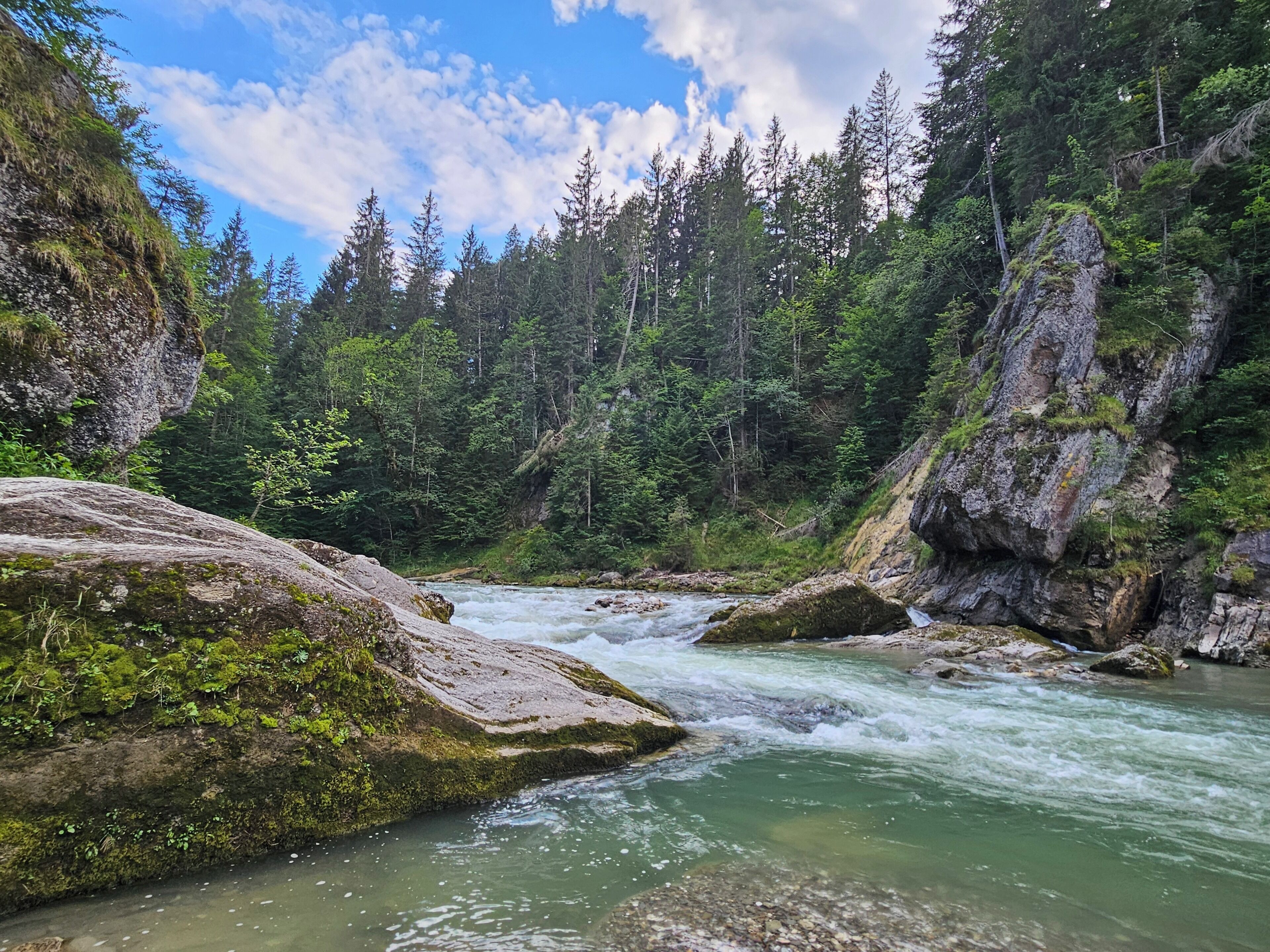 A river flowing through a forested valley with rocky outcrops and dense trees.