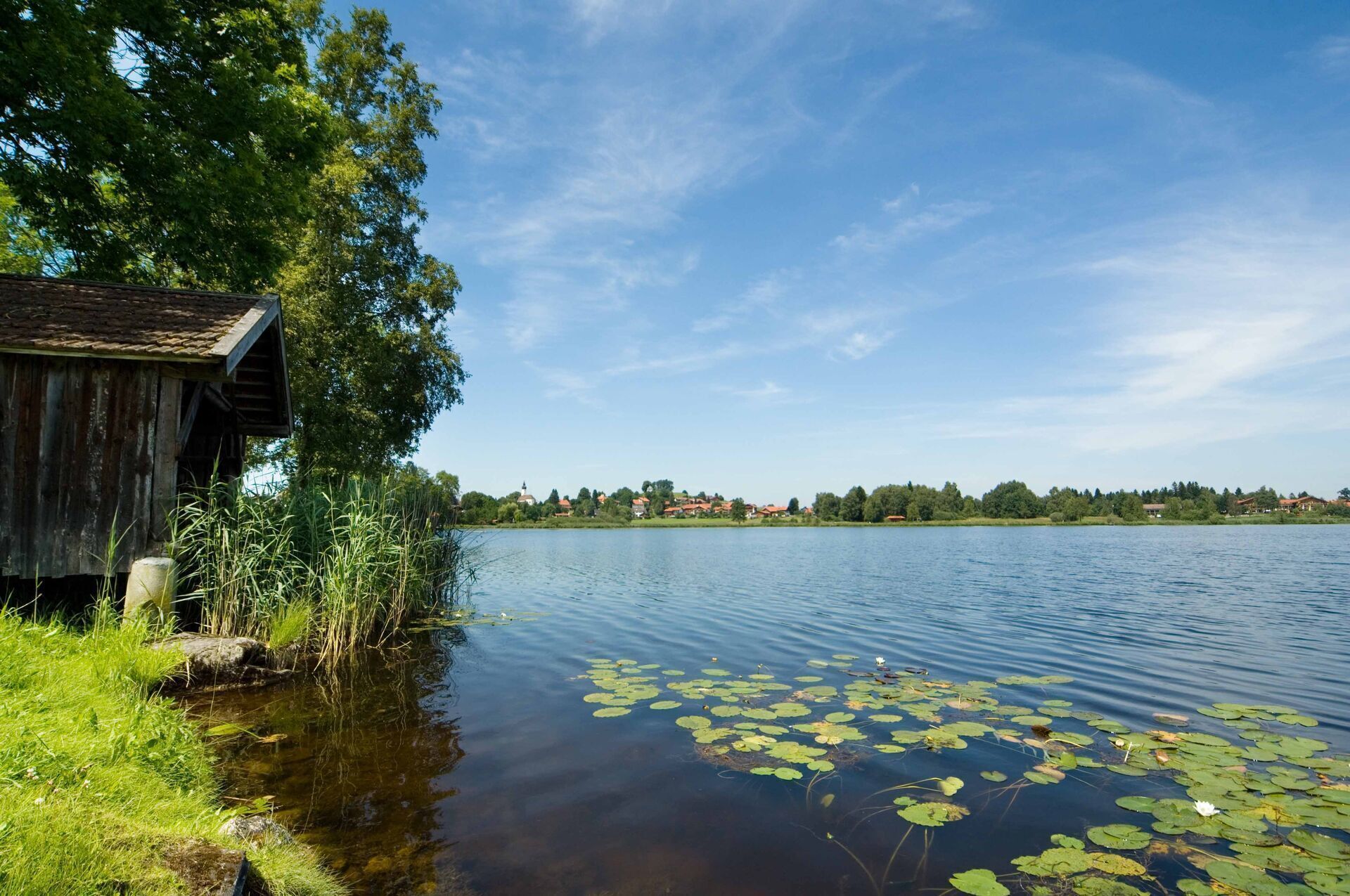 Un lac paisible parsemé de nénuphars, une structure en bois et une ville lointaine.