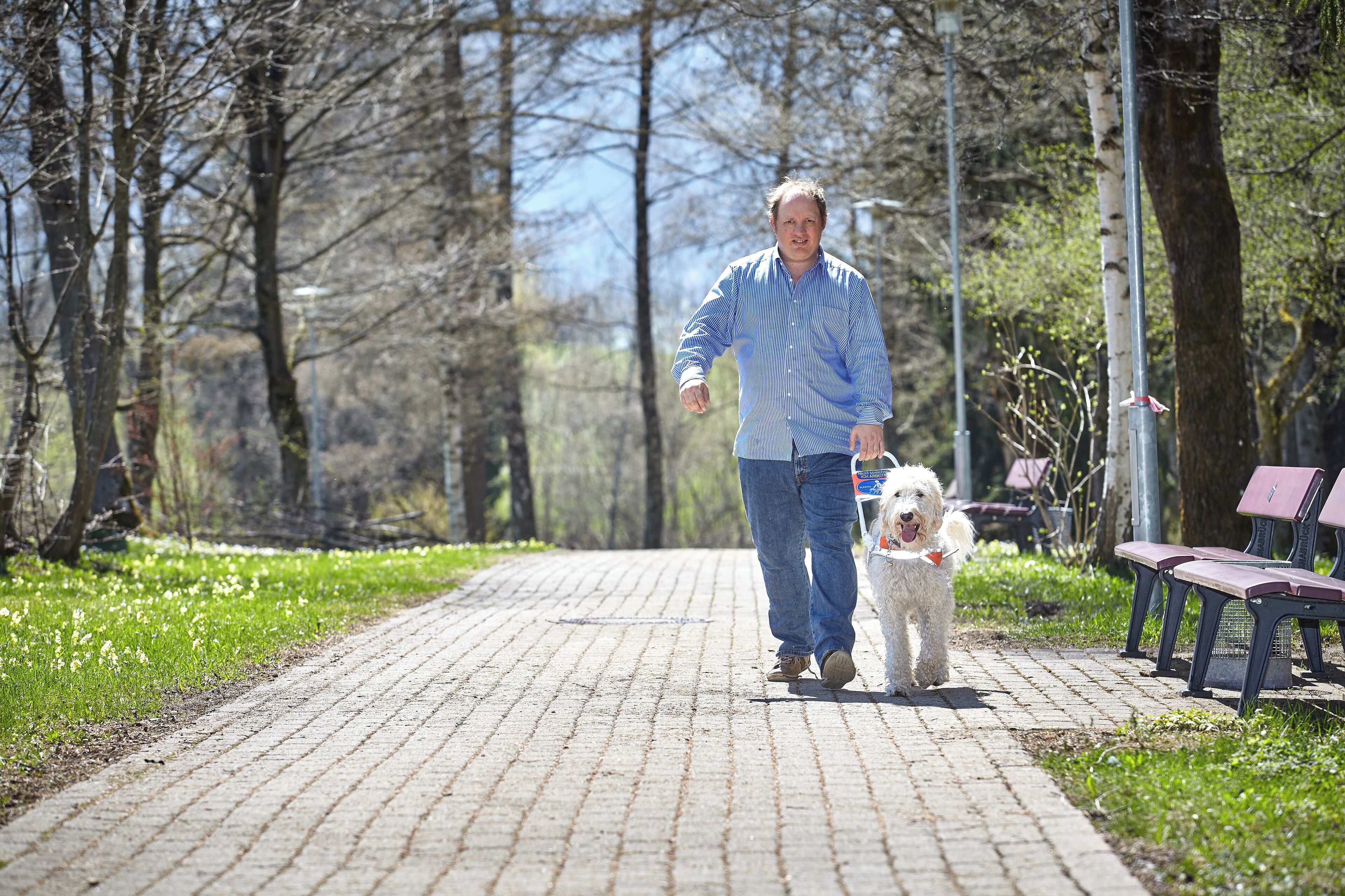 Ein gepflasterter Weg in einem Park mit Bänken und Bäumen.