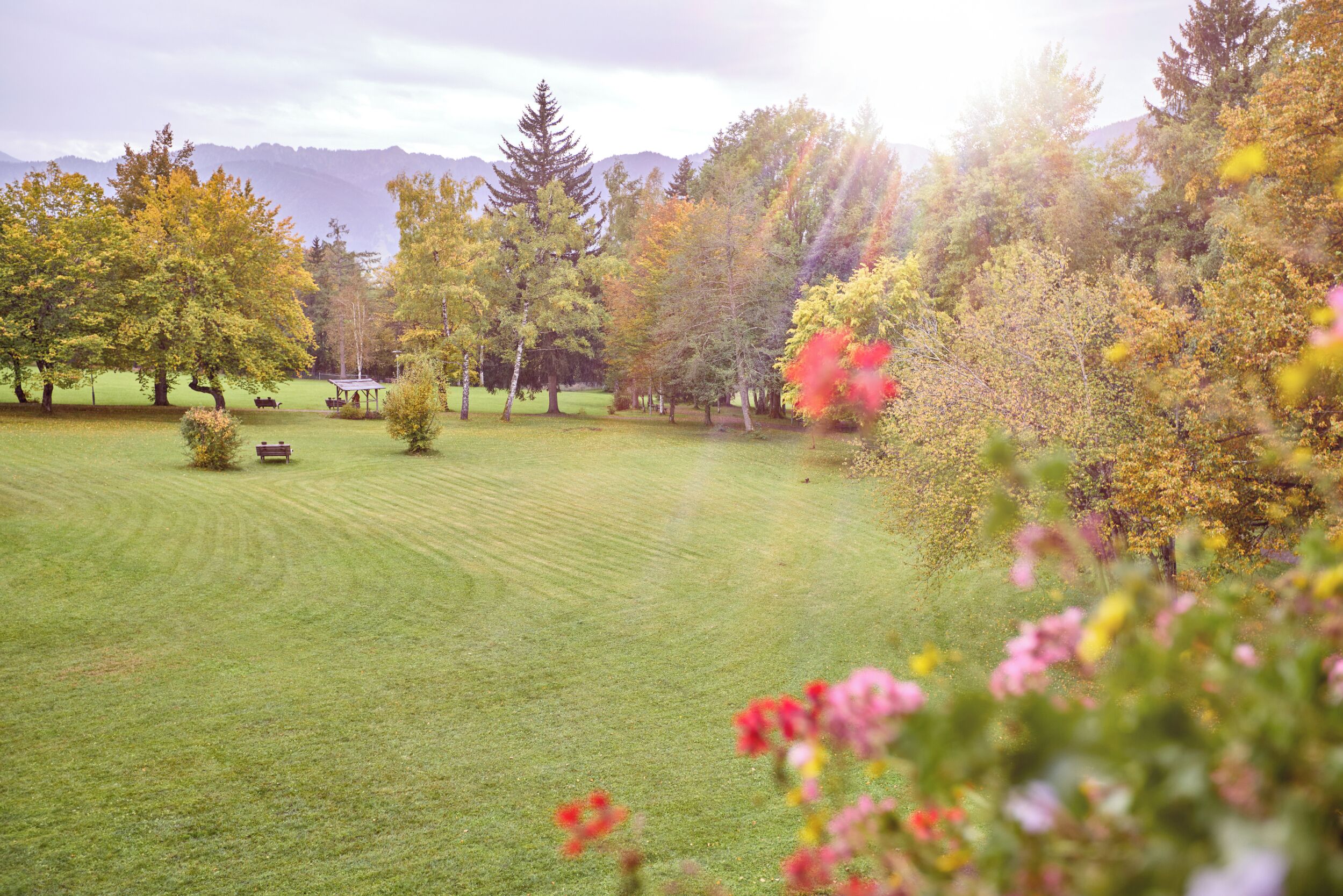 Un campo cubierto de césped con árboles y una zona de picnic.