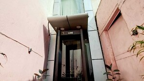 Entrada de hotel con diseño moderno, que incluye una puerta de vidrio, un pequeño espacio exterior con césped artificial y plantas en macetas.