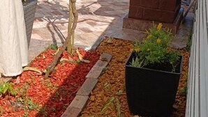 A garden area with red mulch, a black planter box, and a small tree. - Villa Hilda (Barban)