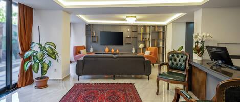 A modern living room with a sofa, chairs, a TV, and a potted plant.