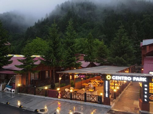 CENTRO PARK HOTEL