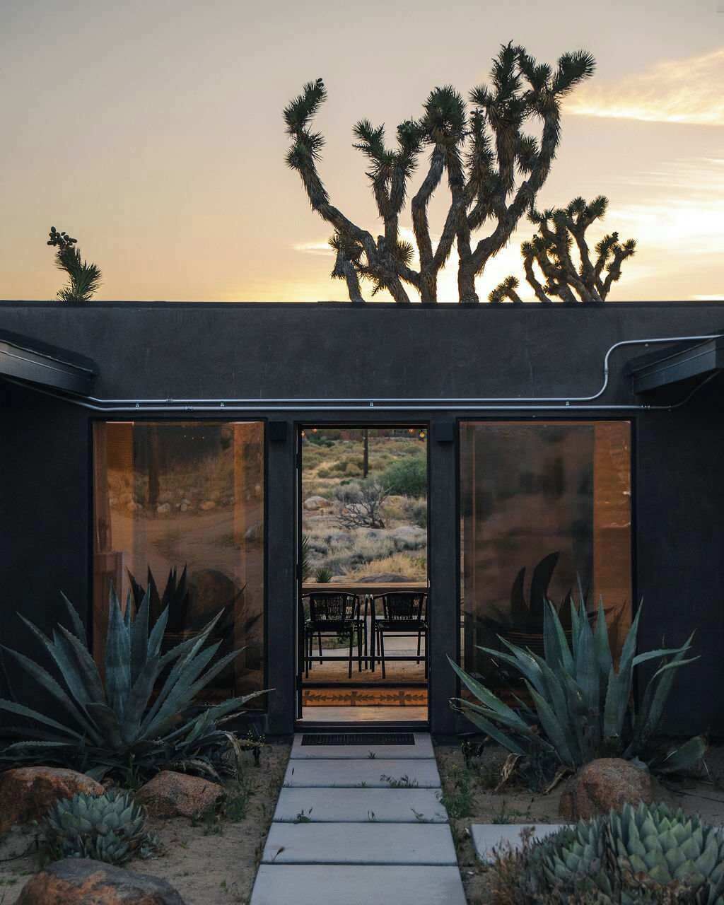 A modern building with a glass entrance, surrounded by desert vegetation and a large cactus tree.
