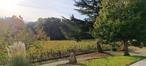 Property grounds - Pleine Nature, Maison de Campagne à 10 min zoo Beauval Mareuil/cher (Mareuil-sur-Cher)