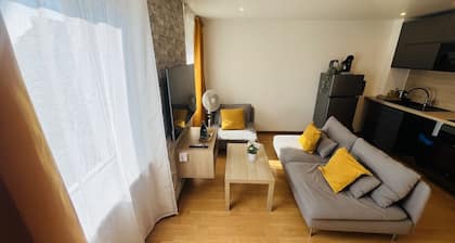 Le Petit Mulhouse 301, Le Prestige