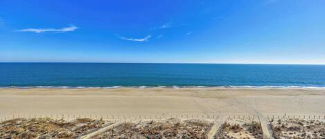A beach with a clear sky and calm sea.