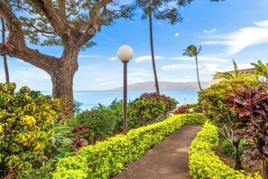 Property grounds - Kuleana Club #107-Oceanfront Deluxe 1 bed &1 bath (Lahaina)