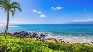 A beach with clear blue water, a palm tree, and rocky shoreline. - Kuleana Club #404 Oceanfront -1 bed 1 bath- Gated (Lahaina)