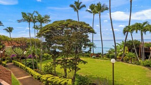 A lush garden with palm trees and a view of the ocean.