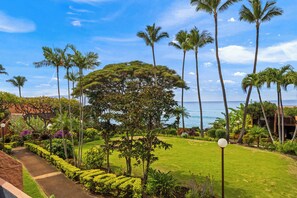 Property grounds - Kuleana Club #307 Pool View 1 bd & 1 ba Ground (Lahaina)