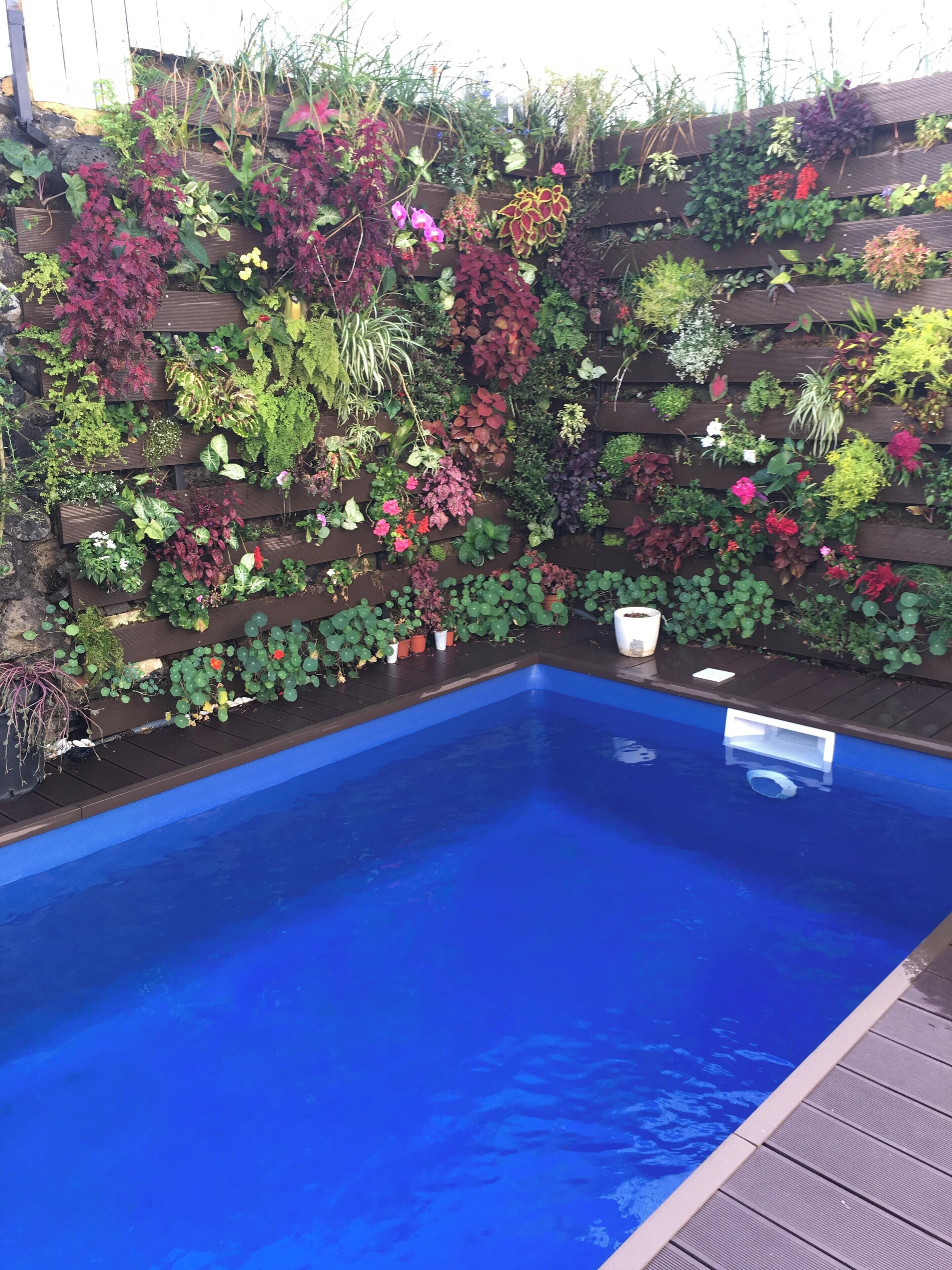 Swimming pool view