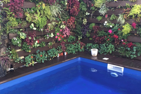 Swimming pool view