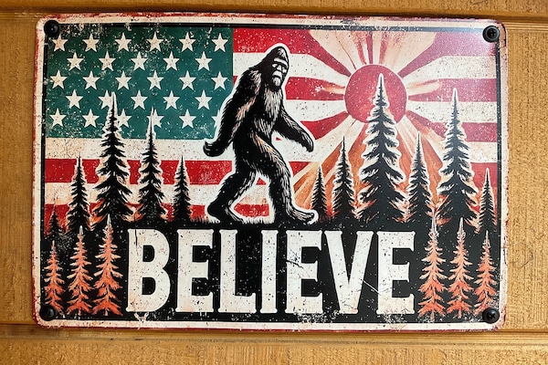 RoscoeNY Tiny Hut adventure everything you need to have an amazing time