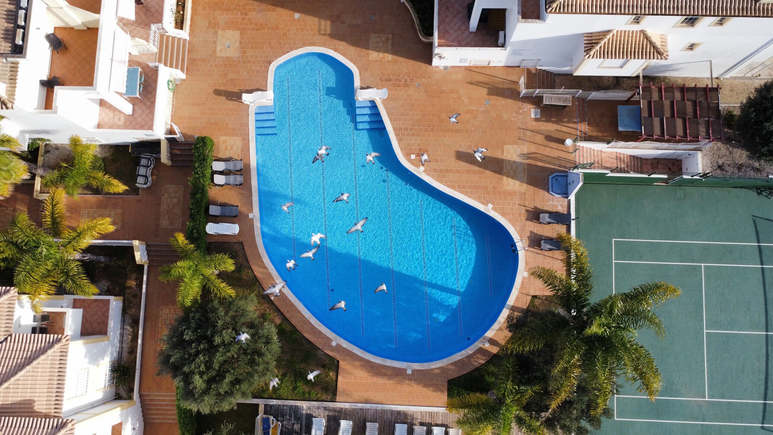 Piscina