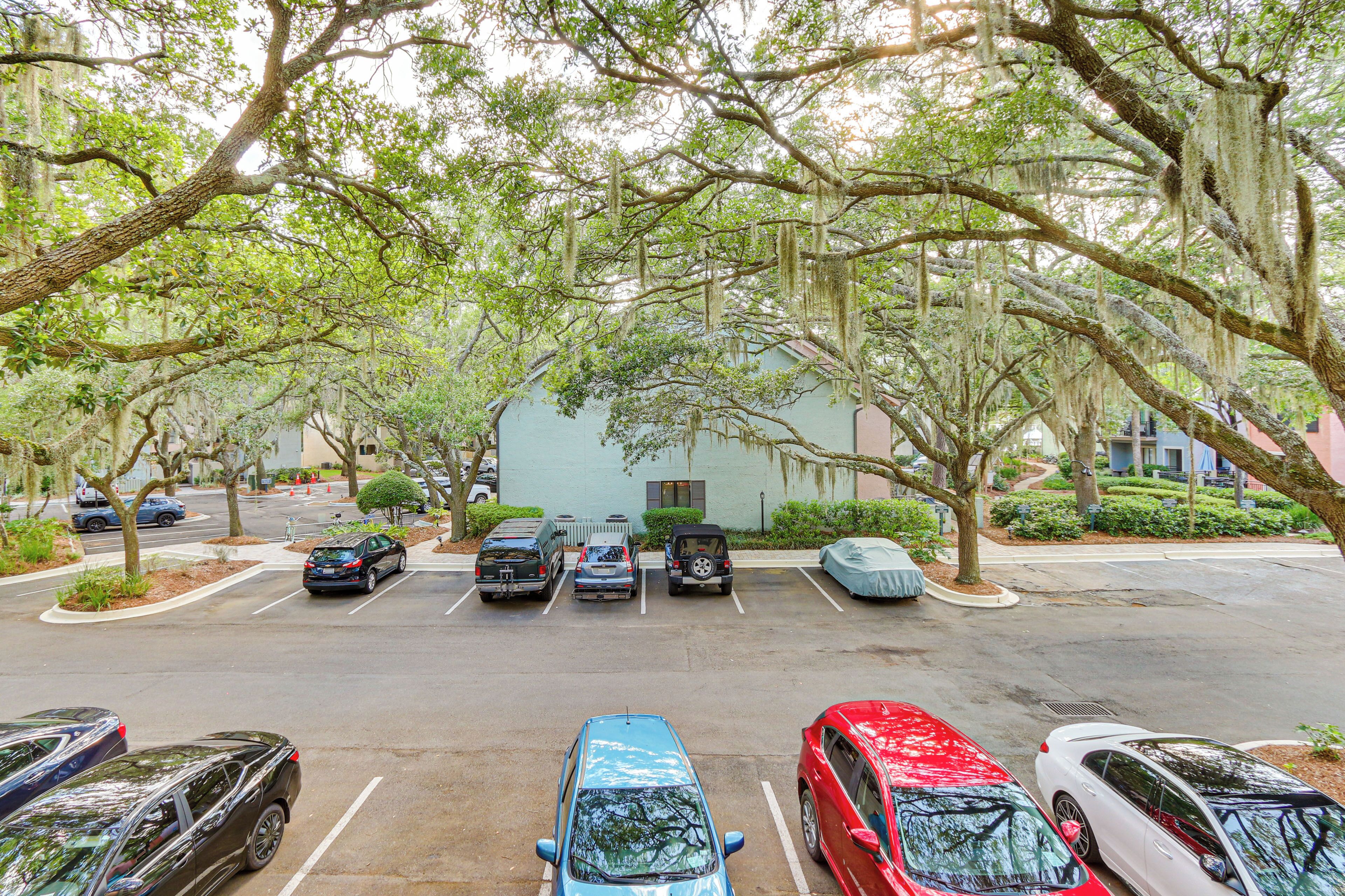 A parking lot with several cars, surrounded by trees with hanging moss.