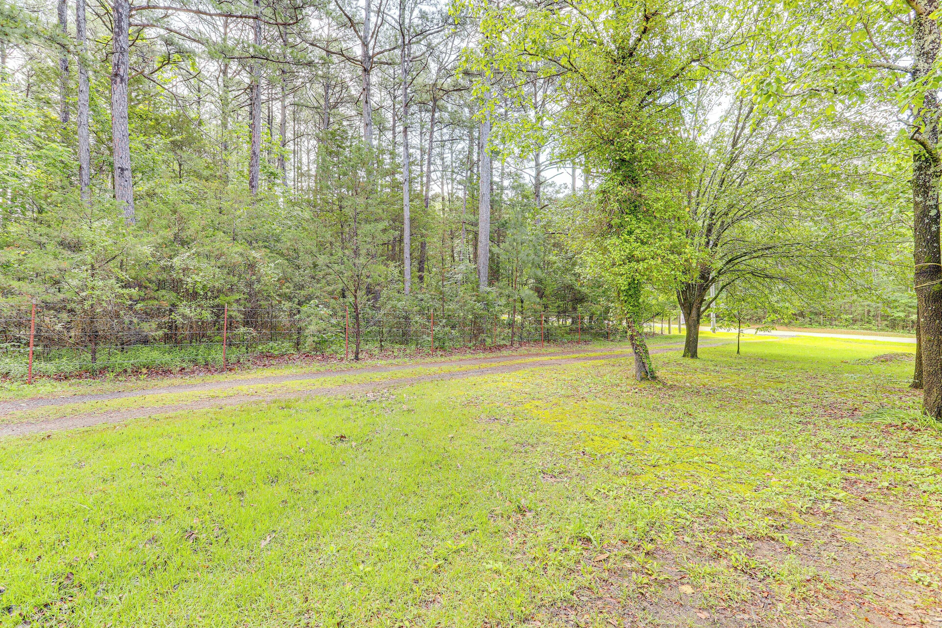 A forested area with a dirt path and a grassy clearing.