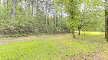 A forested area with a dirt path and a grassy clearing.