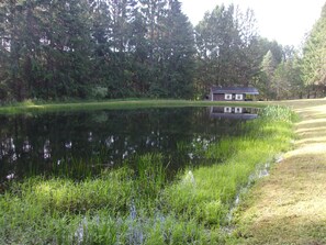 Property grounds - Pondside Hideaway (Hornell)