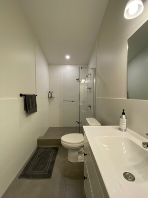 Une salle de bain moderne avec une douche à parois de verre, des toilettes blanches et un lavabo blanc sur lequel est posée une bouteille de lotion.