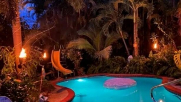 Ein Pool mit gewölbter Kante, umgeben von tropischer Vegetation und Palmen.