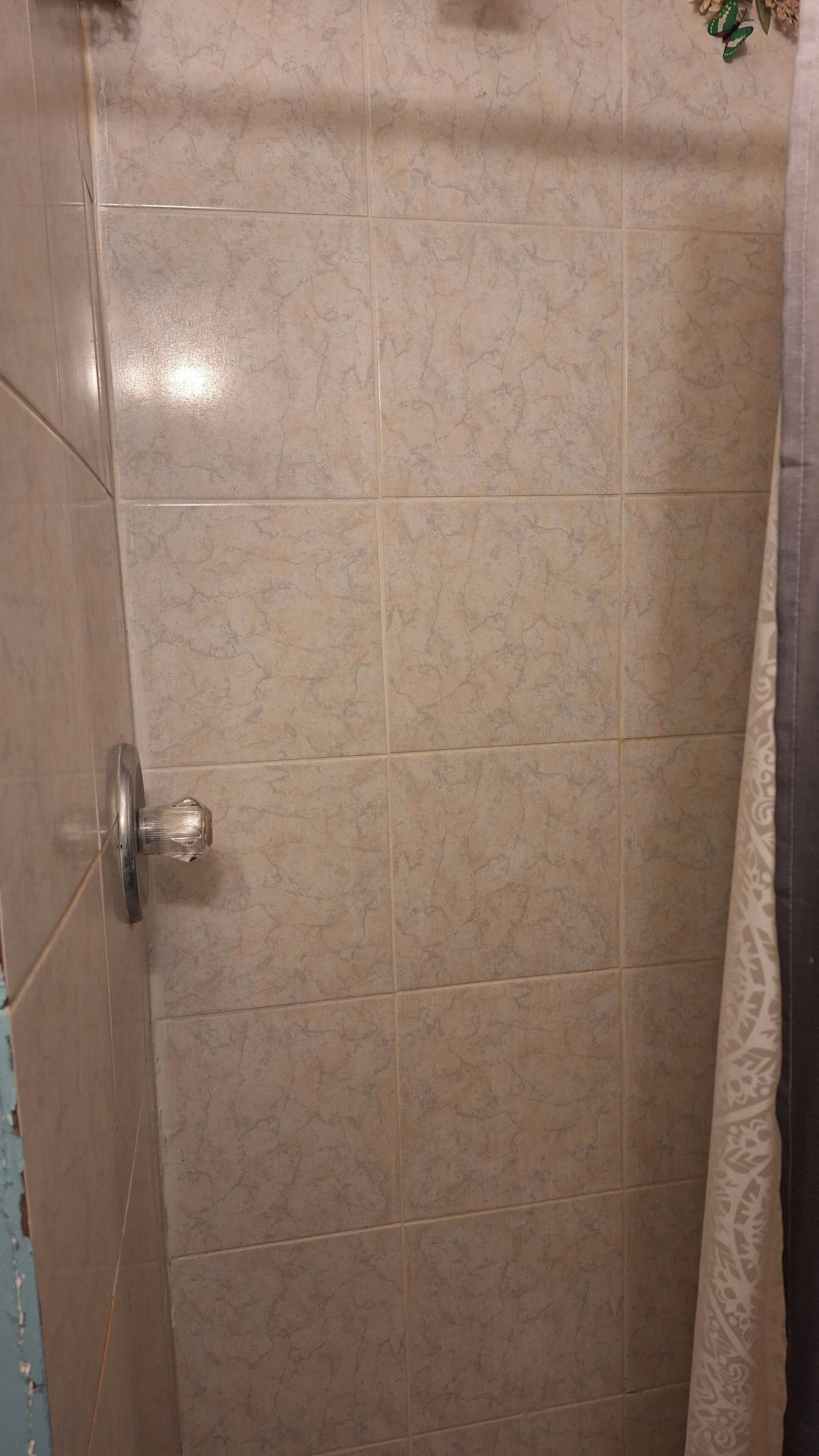 A shower area with tiled walls and a shower curtain.