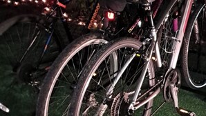 Zwei Fahrräder auf einer grünen Fläche, im Hintergrund ein Drahtzaun und Grünpflanzen.