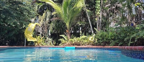 Una piscina al aire libre, una piscina climatizada