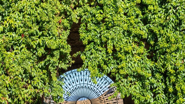 A stone archway with a metal fan design, leading to a narrow road. - Dependance a Baglio il Corvo by Wonderful Italy (Gangi)