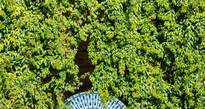 Dependance a Baglio il Corvo by Wonderful Italy