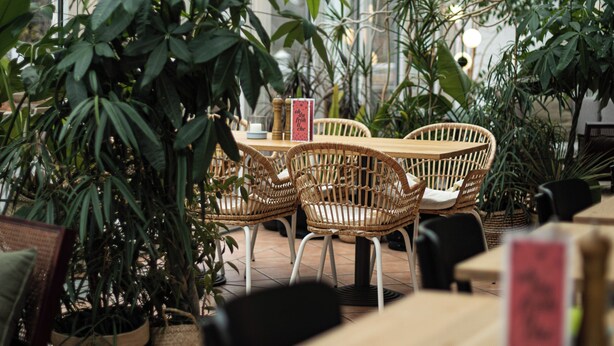 An indoor dining area with wicker chairs, a wooden table, and various potted plants. - DAS SCHÖNE LEBEN Pop-Up Hotel (Hornberg)