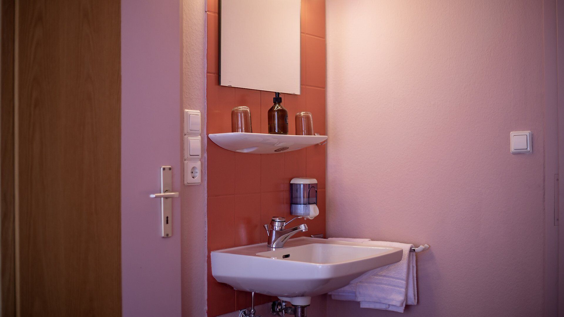 A bathroom with a white sink, a mirror above it, and a shelf with bottles.