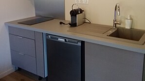 Cocina compacta con lavavajillas, un lavamanos y una encimera.