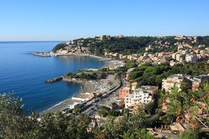 Une ville côtière dotée d’un port de plaisance, de bâtiments le long du front de mer et d’un paysage vallonné en arrière-plan.
