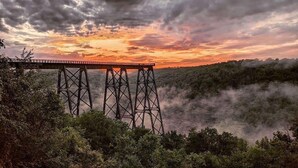 Un puente con estructura metálica, rodeado de vegetación densa y un cielo nublado.