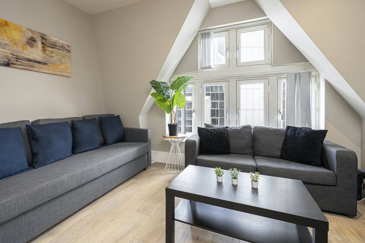 Un appartement standard avec deux canapés gris, une table basse et un grand tableau abstrait accroché au mur.