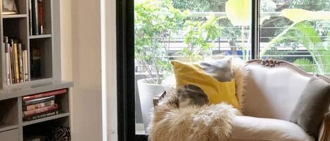 Apartment | 1 bedroom, Internet