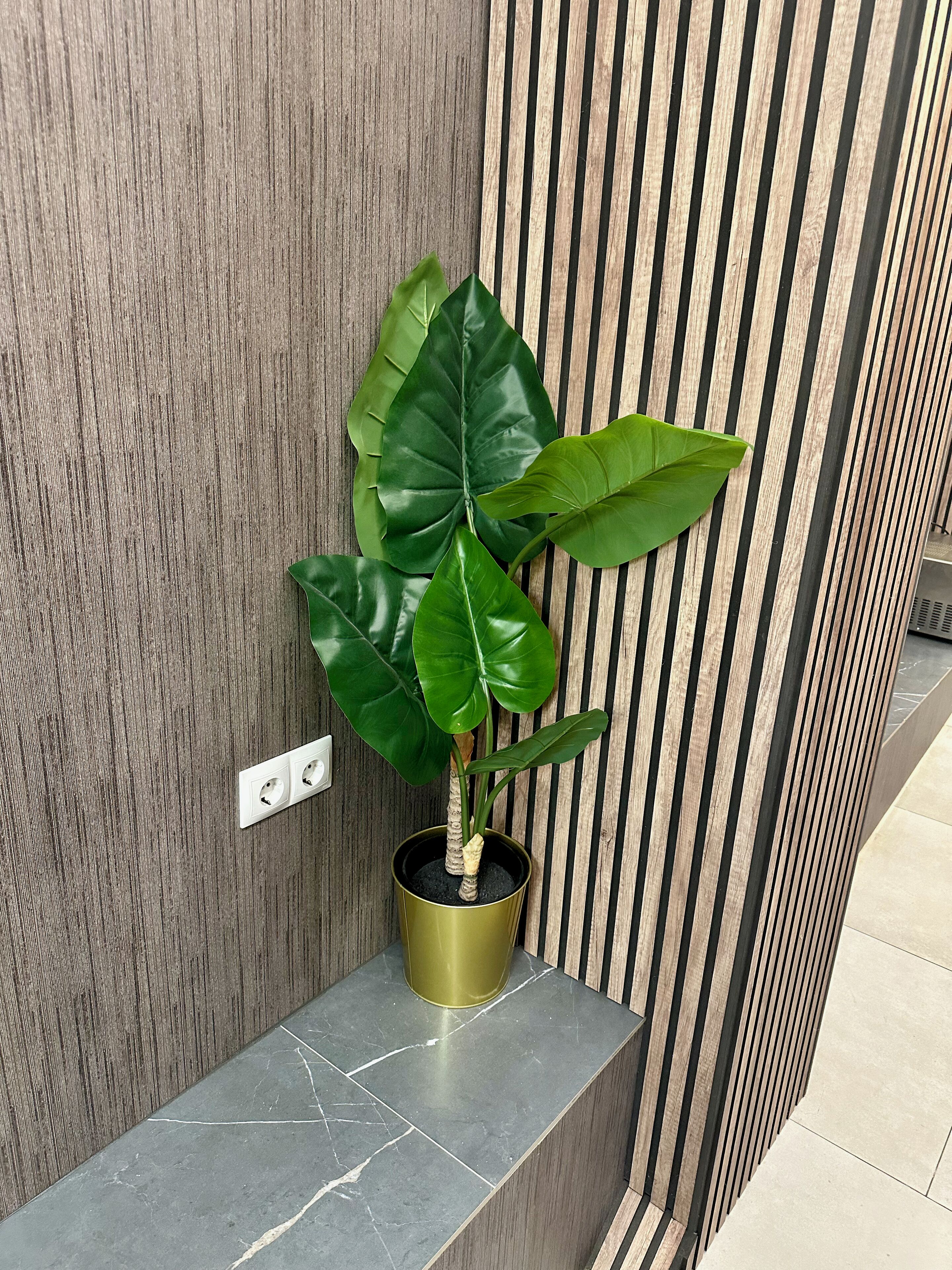 Photo - Senda Hostel Retiro - Atocha & Madrid Centro