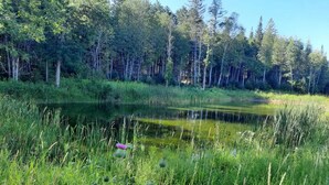 A natural landscape with a pond surrounded by tall grass and trees. - Rest for your soul
Peace
Quiet
Nature
Secluded
Cozy


 (Lanark)