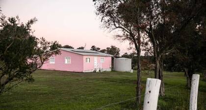 Heart of Lovedale