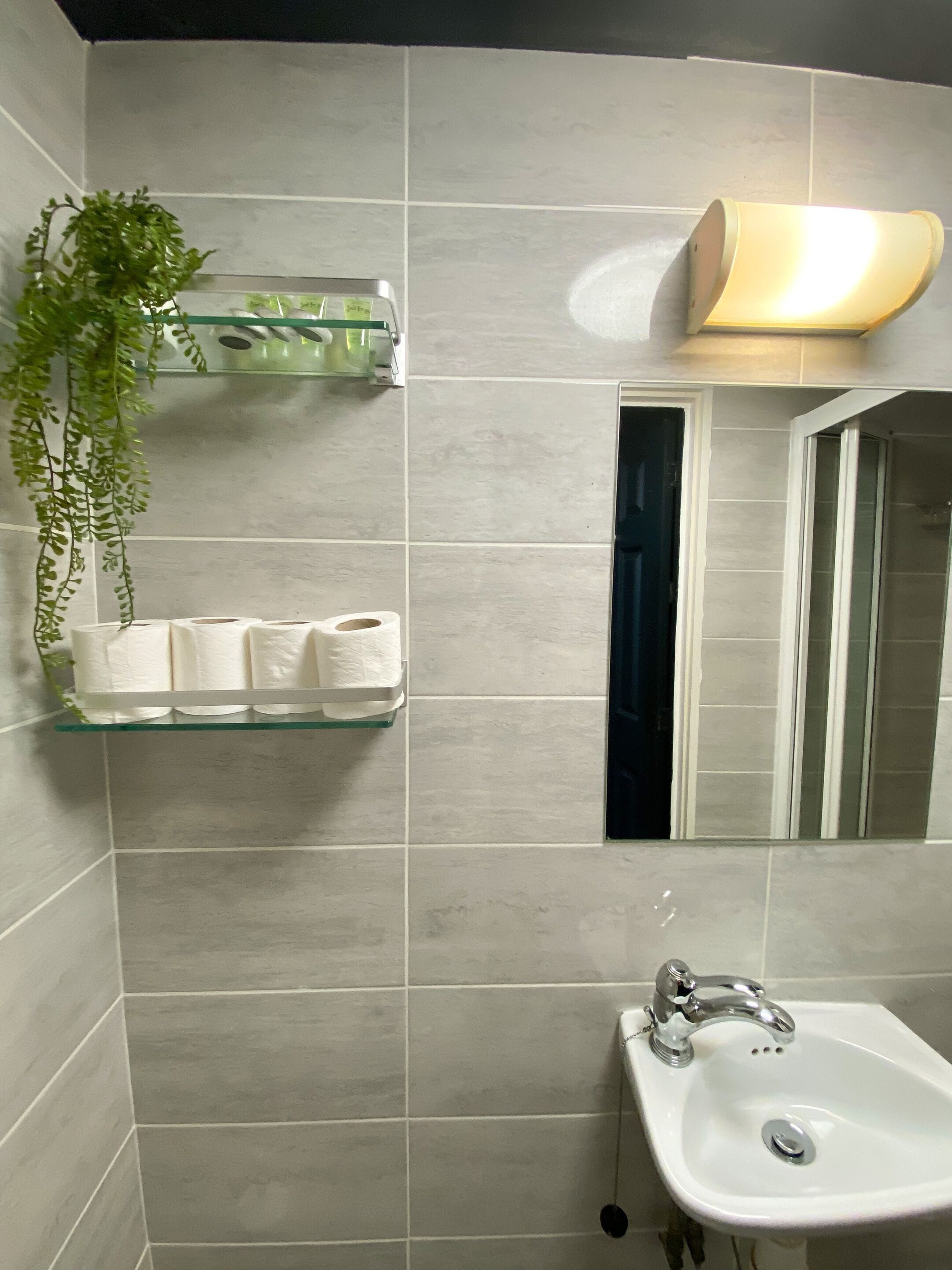 A bathroom with a white sink, a glass shelf with toiletries, and a mirror.