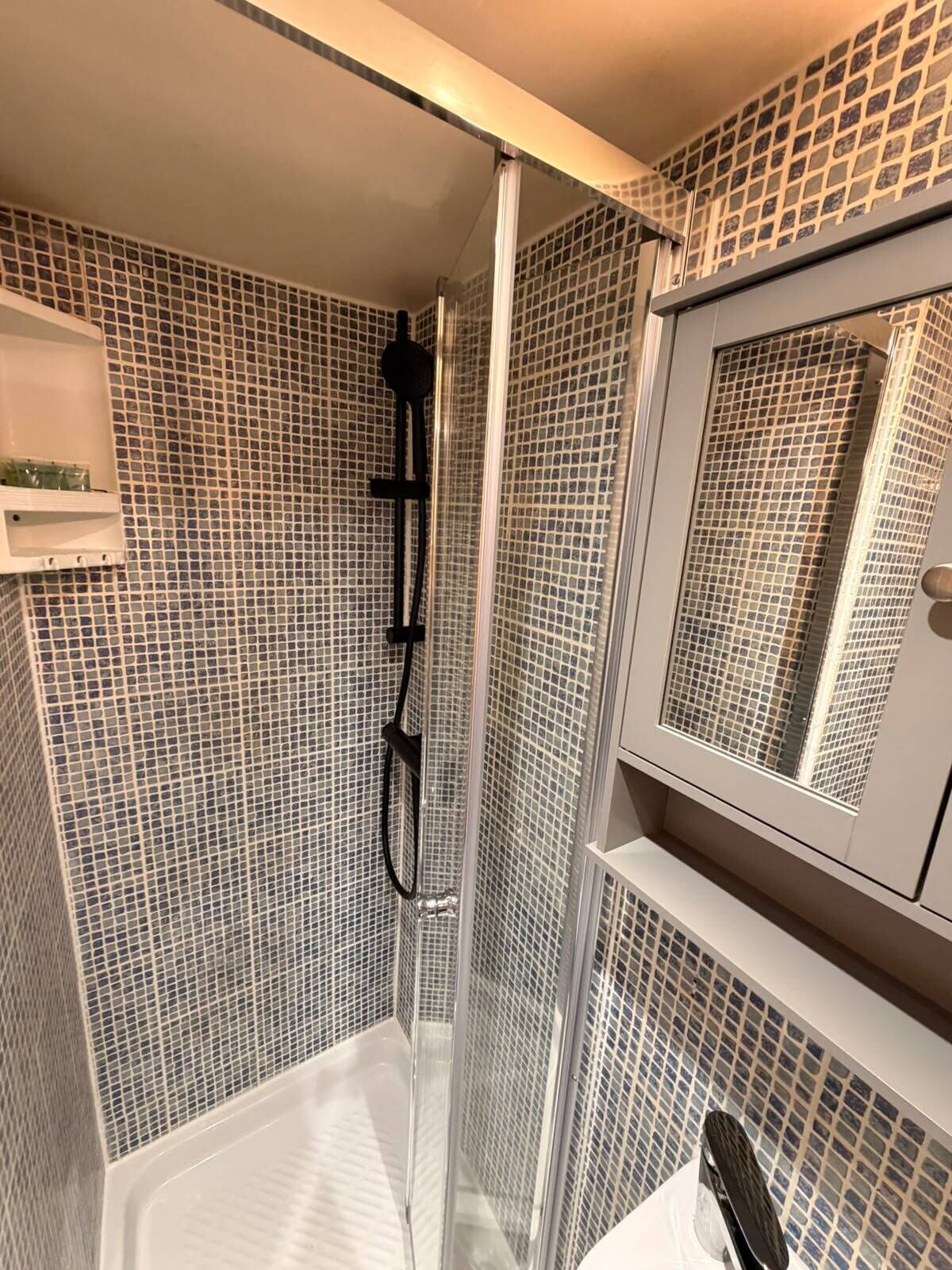 Estudio familiar, baño en la habitación (Quad ) | Baño | Secadora de cabello, toallas, shampoo, papel de baño 