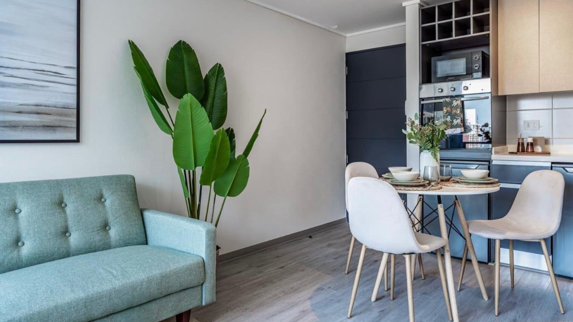 A modern living room with a sofa, dining table, chairs, and a large plant.