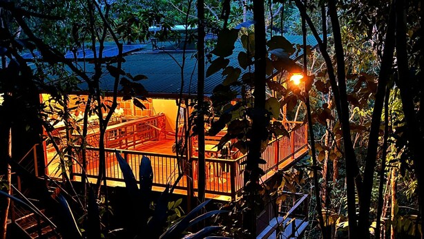A wooden deck with railings, surrounded by trees and foliage. - Montés Samaná (San Carlos)