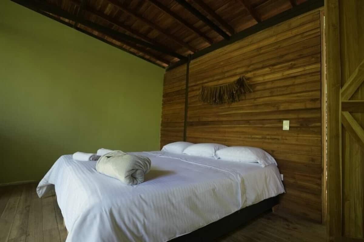 1 chambre, literie de qualité supérieure, couette en duvet d'oie