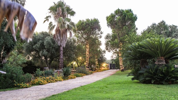 A paved pathway through a garden with various plants and trees. - Villa with park and swimming pool by Pugliadamare (San Michele Salentino)