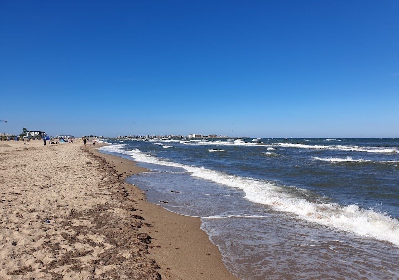 بالقرب من الشاطئ، كراسي للتشمس