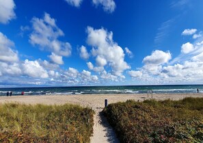 A beach path leading to the shore with a clear sky and ocean in the background. - Maltes-ostseekoje! Ihre Ferienwohnung in Olpenitz Hunde Willlkommen (Kappeln)