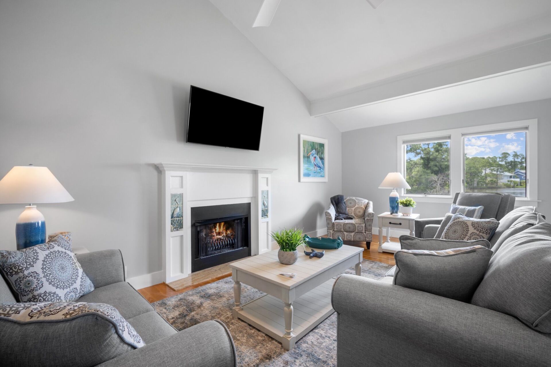 TV, fireplace